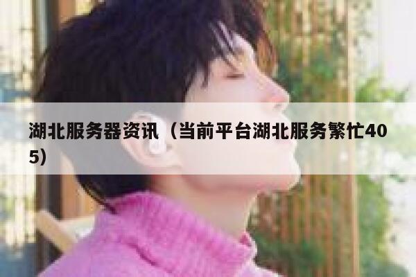 湖北服务器资讯（当前平台湖北服务繁忙405） 第1张