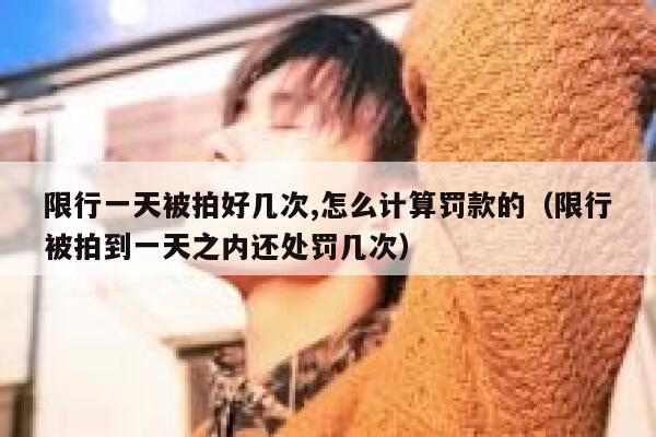 限行一天被拍好几次,怎么计算罚款的(限行被拍到一天之内还处罚几次) 第1张 限行一天被拍好几次,怎么计算罚款的(限行被拍到一天之内还处罚几次) 第1张