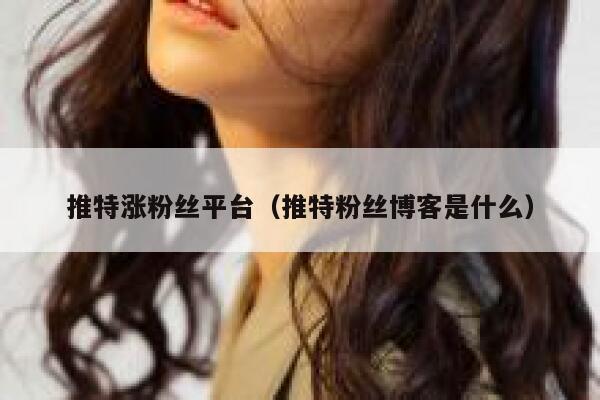 推特涨粉丝平台（推特粉丝博客是什么） 第1张