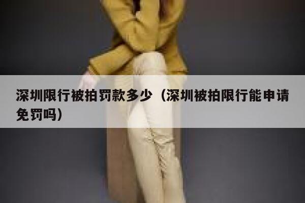 深圳限行被拍罚款多少(深圳被拍限行能申请免罚吗) 第1张 深圳限行被拍罚款多少(深圳被拍限行能申请免罚吗) 第1张
