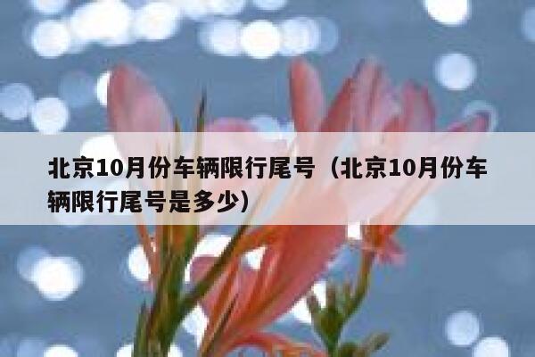 北京10月份车辆限行尾号(北京10月份车辆限行尾号是多少) 第1张 北京10月份车辆限行尾号(北京10月份车辆限行尾号是多少) 第1张