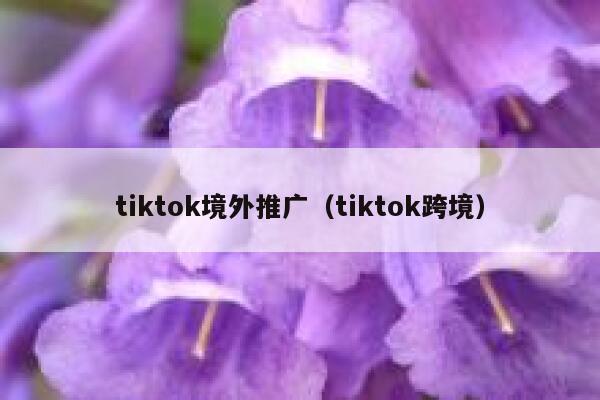 tiktok境外推广（tiktok跨境） 第1张