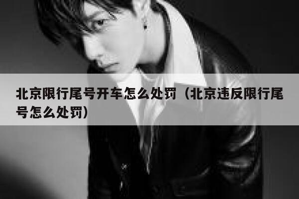 北京限行尾号开车怎么处罚（北京违反限行尾号怎么处罚） 第1张
