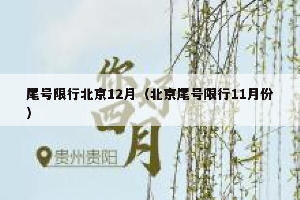 尾号限行北京12月（北京尾号限行11月份） 第1张