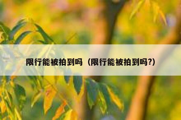 限行能被拍到吗（限行能被拍到吗?） 第1张