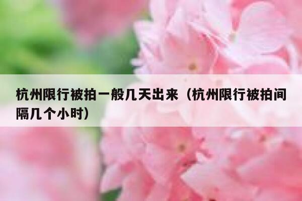 杭州限行被拍一般几天出来（杭州限行被拍间隔几个小时） 第1张