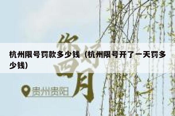 杭州限号罚款多少钱（杭州限号开了一天罚多少钱） 第1张