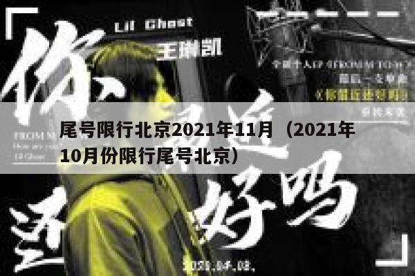 尾号限行北京2021年11月（2021年10月份限行尾号北京） 第1张