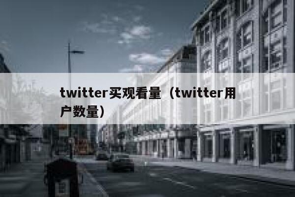 twitter买观看量（twitter用户数量） 第1张