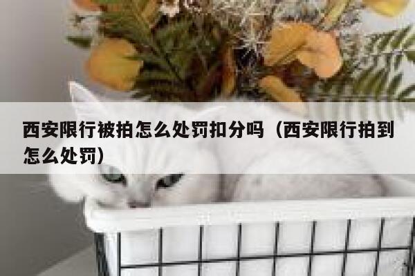 西安限行被拍怎么处罚扣分吗（西安限行拍到怎么处罚） 第1张