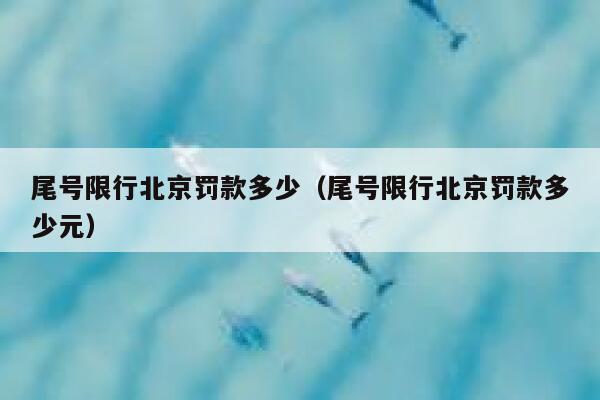 尾号限行北京罚款多少（尾号限行北京罚款多少元） 第1张