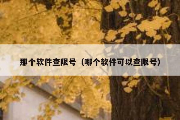 那个软件查限号（哪个软件可以查限号） 第1张