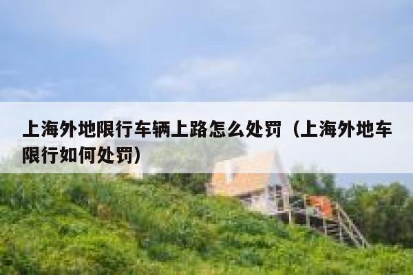 上海外地限行车辆上路怎么处罚（上海外地车限行如何处罚） 第1张