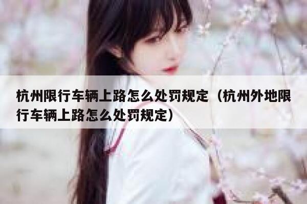 杭州限行车辆上路怎么处罚规定（杭州外地限行车辆上路怎么处罚规定） 第1张