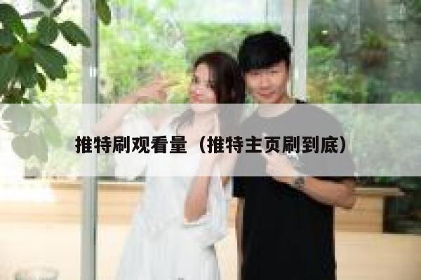 推特刷观看量（推特主页刷到底） 第1张
