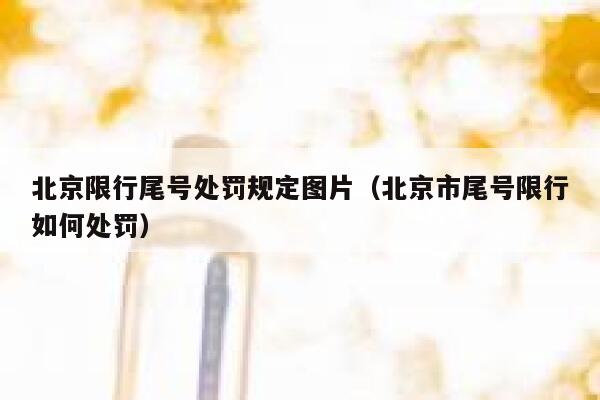 北京限行尾号处罚规定图片（北京市尾号限行如何处罚） 第1张