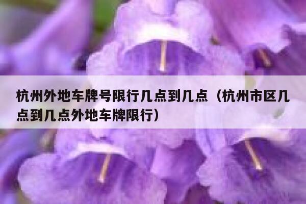 杭州外地车牌号限行几点到几点（杭州市区几点到几点外地车牌限行） 第1张