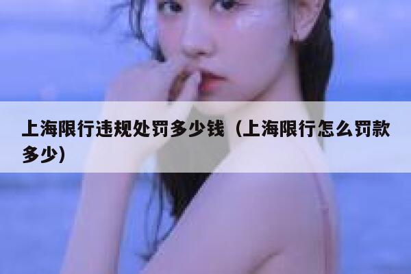 上海限行违规处罚多少钱（上海限行怎么罚款多少） 第1张