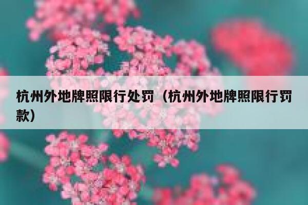杭州外地牌照限行处罚（杭州外地牌照限行罚款） 第1张
