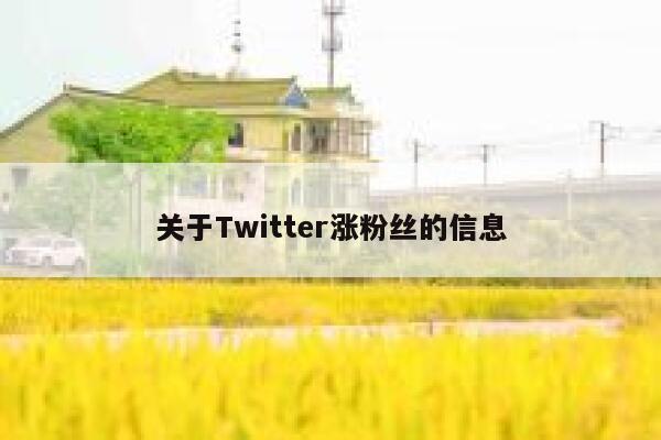 关于Twitter涨粉丝的信息 第1张