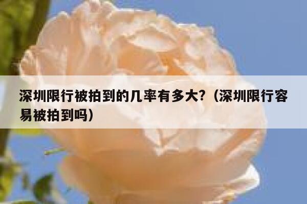 深圳限行被拍到的几率有多大?（深圳限行容易被拍到吗） 第1张