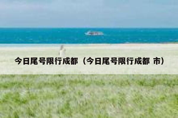 今日尾号限行成都（今日尾号限行成都 市） 第1张