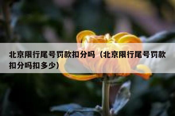 北京限行尾号罚款扣分吗（北京限行尾号罚款扣分吗扣多少） 第1张