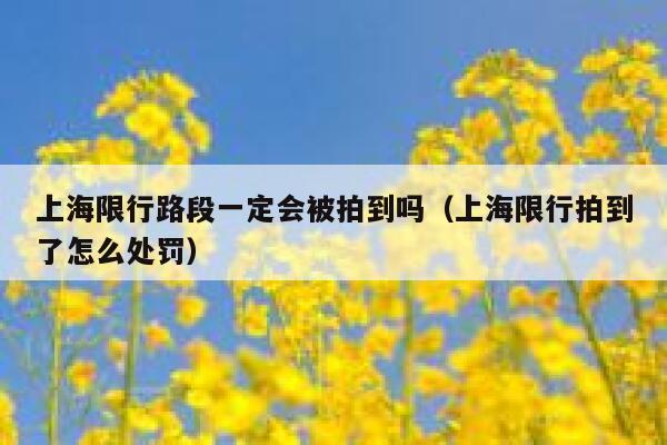 上海限行路段一定会被拍到吗（上海限行拍到了怎么处罚） 第1张