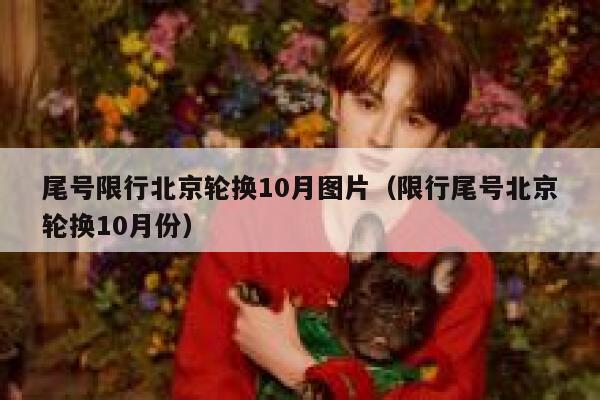 尾号限行北京轮换10月图片（限行尾号北京轮换10月份） 第1张