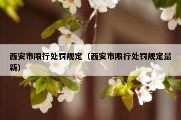 西安市限行处罚规定（西安市限行处罚规定最新） 第1张