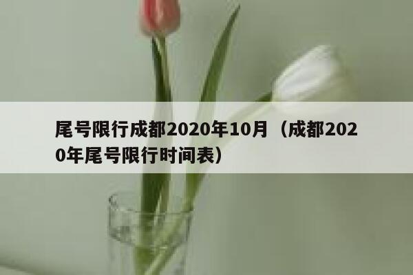 尾号限行成都2020年10月(成都2020年尾号限行时间表) 第1张 尾号限行成都2020年10月(成都2020年尾号限行时间表) 第1张