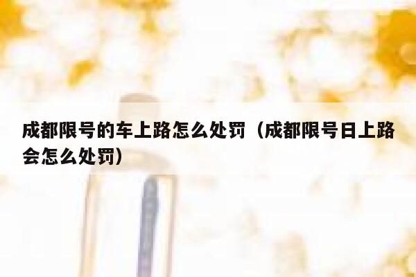成都限号的车上路怎么处罚（成都限号日上路会怎么处罚） 第1张