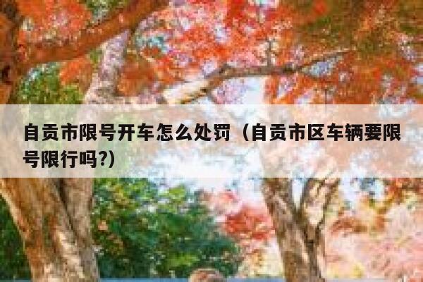 自贡市限号开车怎么处罚（自贡市区车辆要限号限行吗?） 第1张