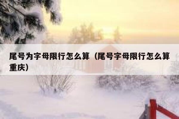 尾号为字母限行怎么算（尾号字母限行怎么算重庆） 第1张