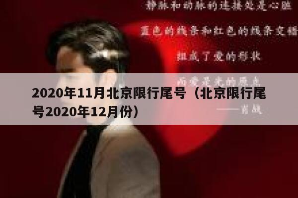 2020年11月北京限行尾号（北京限行尾号2020年12月份） 第1张