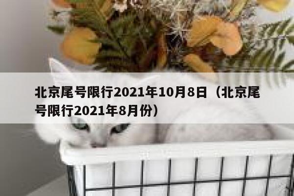 北京尾号限行2021年10月8日（北京尾号限行2021年8月份） 第1张