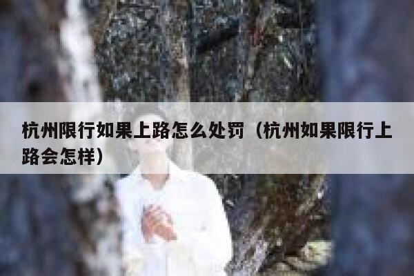 杭州限行如果上路怎么处罚（杭州如果限行上路会怎样） 第1张