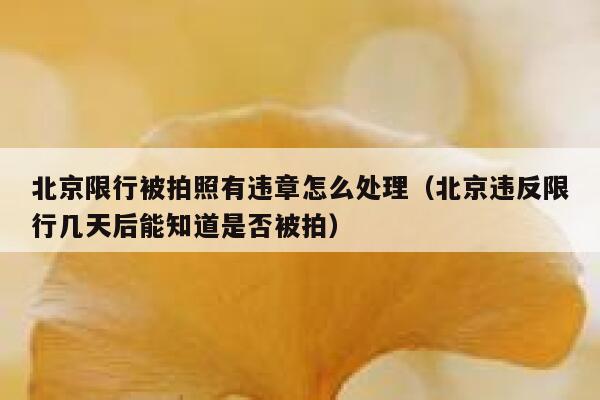 北京限行被拍照有违章怎么处理（北京违反限行几天后能知道是否被拍） 第1张