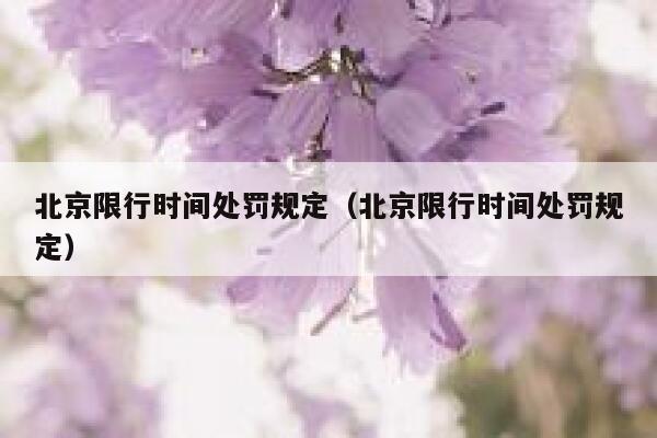 北京限行时间处罚规定（北京限行时间处罚规定） 第1张
