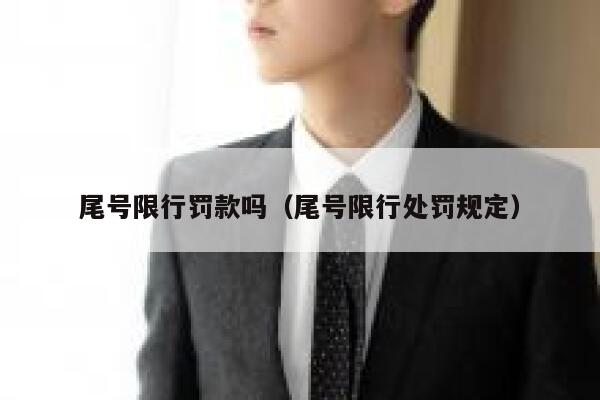 尾号限行罚款吗（尾号限行处罚规定） 第1张