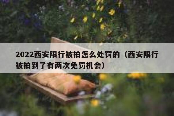 2022西安限行被拍怎么处罚的（西安限行被拍到了有两次免罚机会） 第1张