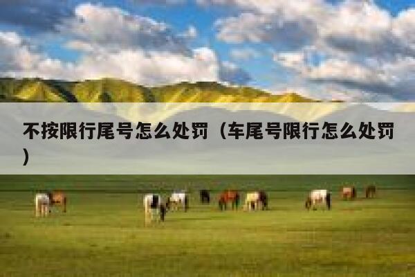 不按限行尾号怎么处罚（车尾号限行怎么处罚） 第1张