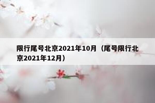 限行尾号北京2021年10月（尾号限行北京2021年12月） 第1张
