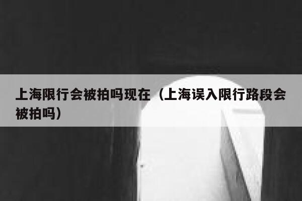 上海限行会被拍吗现在（上海误入限行路段会被拍吗） 第1张