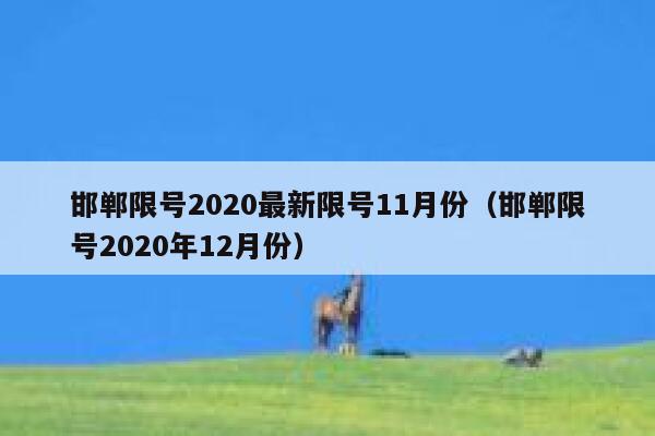 邯郸限号2020最新限号11月份（邯郸限号2020年12月份） 第1张