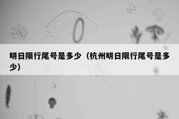 明日限行尾号是多少（杭州明日限行尾号是多少） 第1张