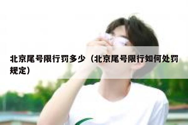 北京尾号限行罚多少(北京尾号限行如何处罚规定) 第1张 北京尾号限行罚多少(北京尾号限行如何处罚规定) 第1张