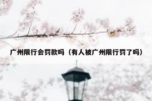 广州限行会罚款吗（有人被广州限行罚了吗） 第1张
