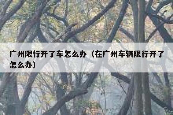 广州限行开了车怎么办（在广州车辆限行开了怎么办） 第1张