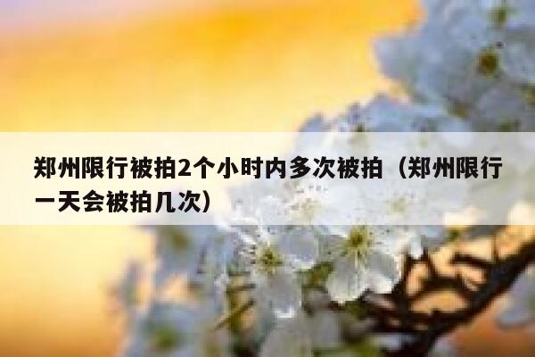 郑州限行被拍2个小时内多次被拍（郑州限行一天会被拍几次） 第1张